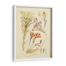 Bosquejo Botánico Antiguo V - Vision Studio | Cuadro decorativo de Canvas Lab