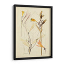 Bosquejo Botánico Antiguo Vi - Vision Studio | Cuadro decorativo de Canvas Lab