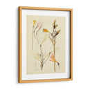 Bosquejo Botánico Antiguo Vi - Vision Studio | Cuadro decorativo de Canvas Lab