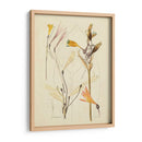 Bosquejo Botánico Antiguo Vi - Vision Studio | Cuadro decorativo de Canvas Lab