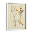 Bosquejo Botánico Antiguo Vi - Vision Studio | Cuadro decorativo de Canvas Lab