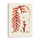 Coral Seaweed Ii - Vision Studio | Cuadro decorativo de Canvas Lab