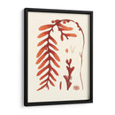 Coral Seaweed Ii - Vision Studio | Cuadro decorativo de Canvas Lab