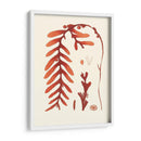 Coral Seaweed Ii - Vision Studio | Cuadro decorativo de Canvas Lab