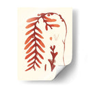 Coral Seaweed Ii - Vision Studio | Cuadro decorativo de Canvas Lab