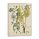 Elocuente Botánico I - Vision Studio | Cuadro decorativo de Canvas Lab