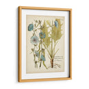 Elocuente Botánico I - Vision Studio | Cuadro decorativo de Canvas Lab