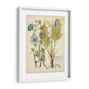 Elocuente Botánico I - Vision Studio | Cuadro decorativo de Canvas Lab