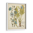 Elocuente Botánico I - Vision Studio | Cuadro decorativo de Canvas Lab