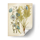 Elocuente Botánico I - Vision Studio | Cuadro decorativo de Canvas Lab