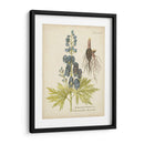 Elocuente Botánico Ii - Vision Studio | Cuadro decorativo de Canvas Lab