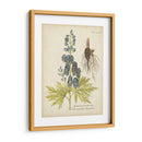 Elocuente Botánico Ii - Vision Studio | Cuadro decorativo de Canvas Lab