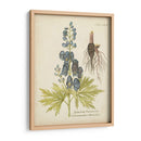 Elocuente Botánico Ii - Vision Studio | Cuadro decorativo de Canvas Lab