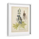 Elocuente Botánico Ii - Vision Studio | Cuadro decorativo de Canvas Lab