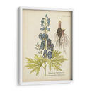 Elocuente Botánico Ii - Vision Studio | Cuadro decorativo de Canvas Lab