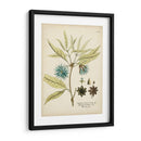 Botánico Elocuente Iii - Vision Studio | Cuadro decorativo de Canvas Lab