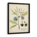 Botánico Elocuente Iii - Vision Studio | Cuadro decorativo de Canvas Lab