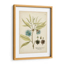 Botánico Elocuente Iii - Vision Studio | Cuadro decorativo de Canvas Lab