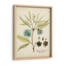 Botánico Elocuente Iii - Vision Studio | Cuadro decorativo de Canvas Lab