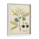 Botánico Elocuente Iii - Vision Studio | Cuadro decorativo de Canvas Lab