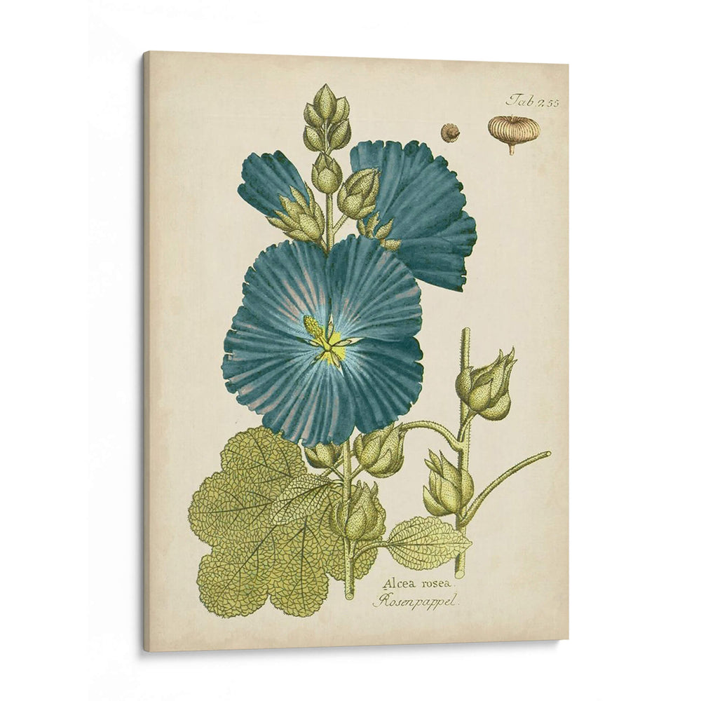 Elocuente Botánico Iv - Vision Studio | Cuadro decorativo de Canvas Lab