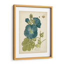 Elocuente Botánico Iv - Vision Studio | Cuadro decorativo de Canvas Lab