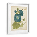 Elocuente Botánico Iv - Vision Studio | Cuadro decorativo de Canvas Lab