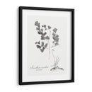 Impresión Botánica I - Vision Studio | Cuadro decorativo de Canvas Lab