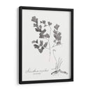 Impresión Botánica I - Vision Studio | Cuadro decorativo de Canvas Lab