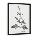 Impresión Botánica Iii - Vision Studio | Cuadro decorativo de Canvas Lab