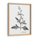 Impresión Botánica Iii - Vision Studio | Cuadro decorativo de Canvas Lab