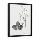 Impresión Botánica Iv - Vision Studio | Cuadro decorativo de Canvas Lab