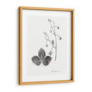 Impresión Botánica Iv - Vision Studio | Cuadro decorativo de Canvas Lab