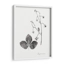 Impresión Botánica Iv - Vision Studio | Cuadro decorativo de Canvas Lab
