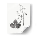 Impresión Botánica Iv - Vision Studio | Cuadro decorativo de Canvas Lab