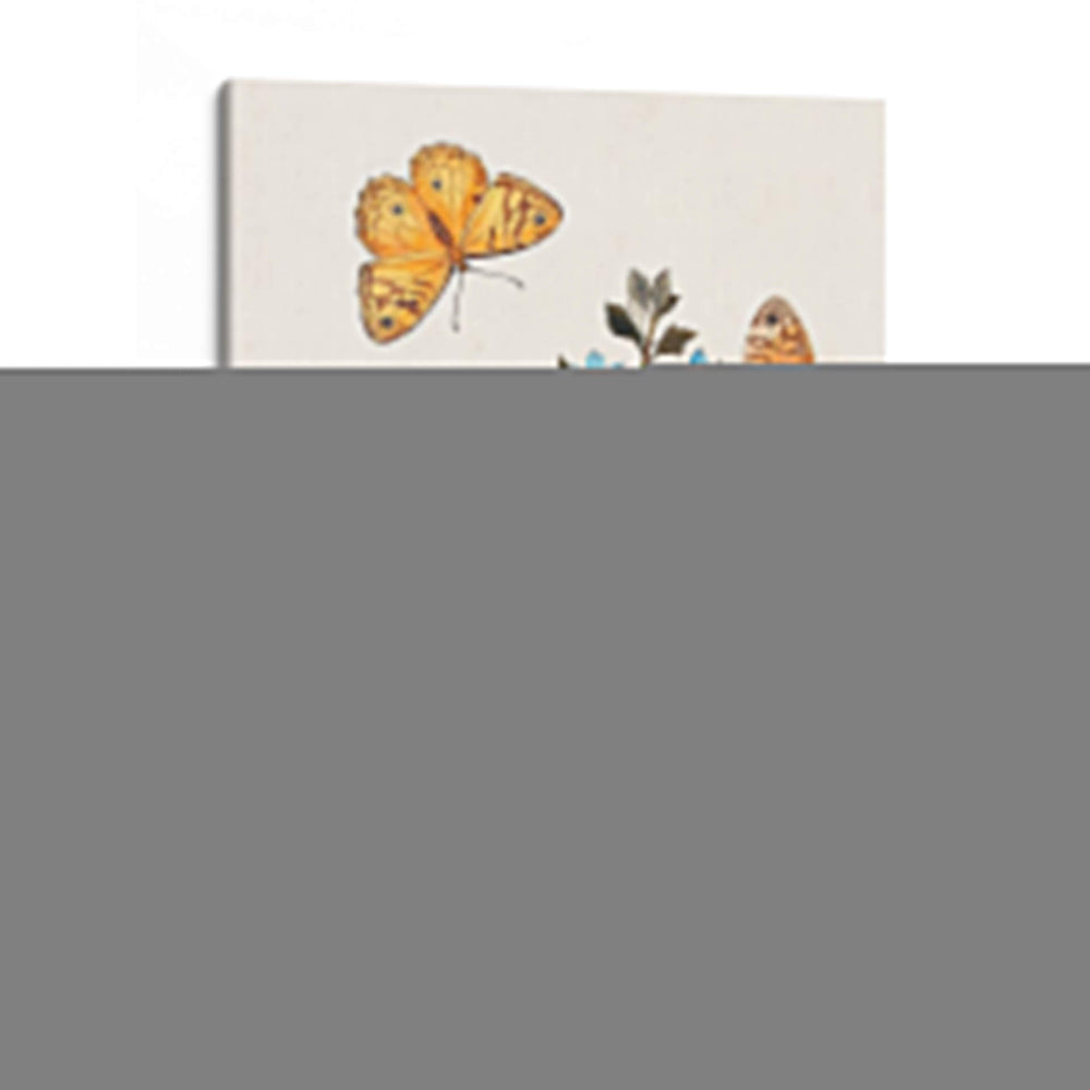 Mariposas Y Polillas I | Cuadro decorativo de Canvas Lab