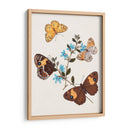 Mariposas Y Polillas I | Cuadro decorativo de Canvas Lab