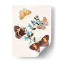 Mariposas Y Polillas I | Cuadro decorativo de Canvas Lab