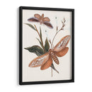 Mariposas Y Polillas Ii | Cuadro decorativo de Canvas Lab