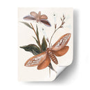 Mariposas Y Polillas Ii | Cuadro decorativo de Canvas Lab