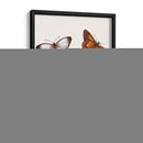 Mariposas Y Polillas Iii | Cuadro decorativo de Canvas Lab
