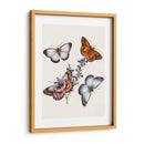 Mariposas Y Polillas Iii | Cuadro decorativo de Canvas Lab