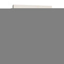 Mariposas Y Polillas Iv | Cuadro decorativo de Canvas Lab