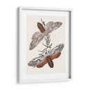 Mariposas Y Polillas V | Cuadro decorativo de Canvas Lab