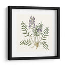 Elegante Botánico I - Vision Studio | Cuadro decorativo de Canvas Lab