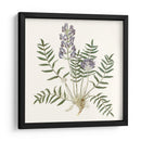 Elegante Botánico I - Vision Studio | Cuadro decorativo de Canvas Lab