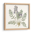 Elegante Botánico I - Vision Studio | Cuadro decorativo de Canvas Lab