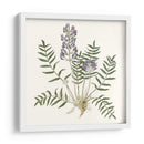 Elegante Botánico I - Vision Studio | Cuadro decorativo de Canvas Lab