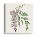 Elegante Botánico Ii - Vision Studio | Cuadro decorativo de Canvas Lab