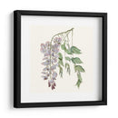 Elegante Botánico Ii - Vision Studio | Cuadro decorativo de Canvas Lab